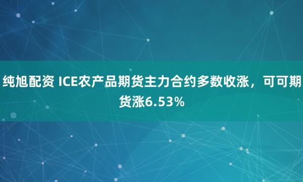 纯旭配资 ICE农产品期货主力合约多数收涨，可可期货涨6.53%